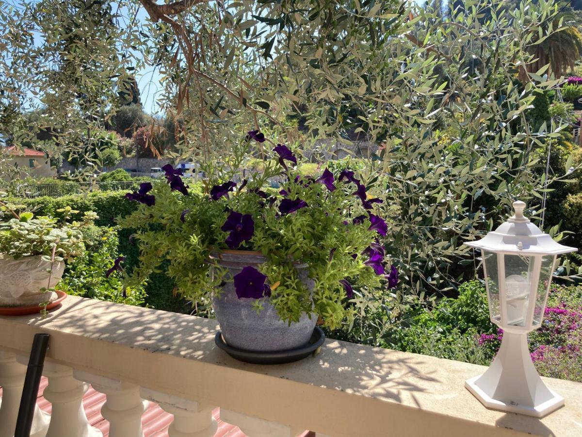 Studio Villa La Cigale Avec Grande Terrasse Menton Exteriör bild