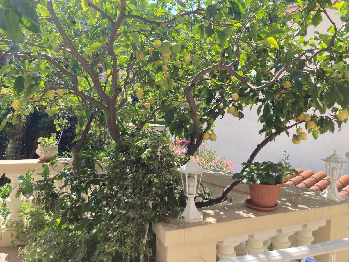 Studio Villa La Cigale Avec Grande Terrasse Menton Exteriör bild